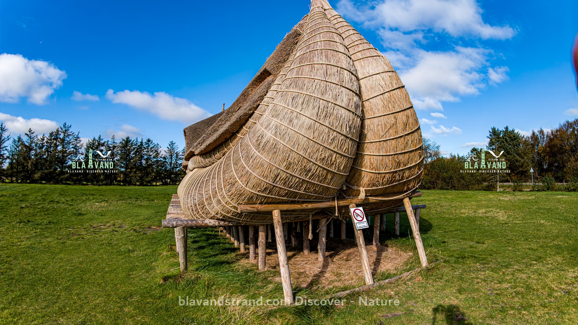 hausboot fuer ho blavand dänemarl