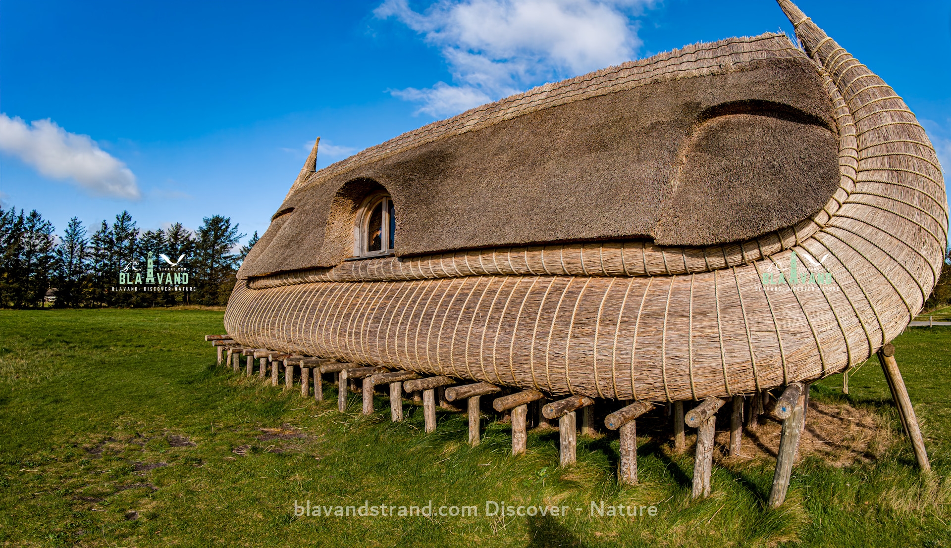 hausboot fuer ho blavand dänemarl